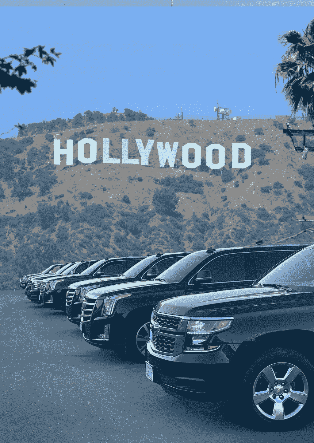 Los Angeles limo service