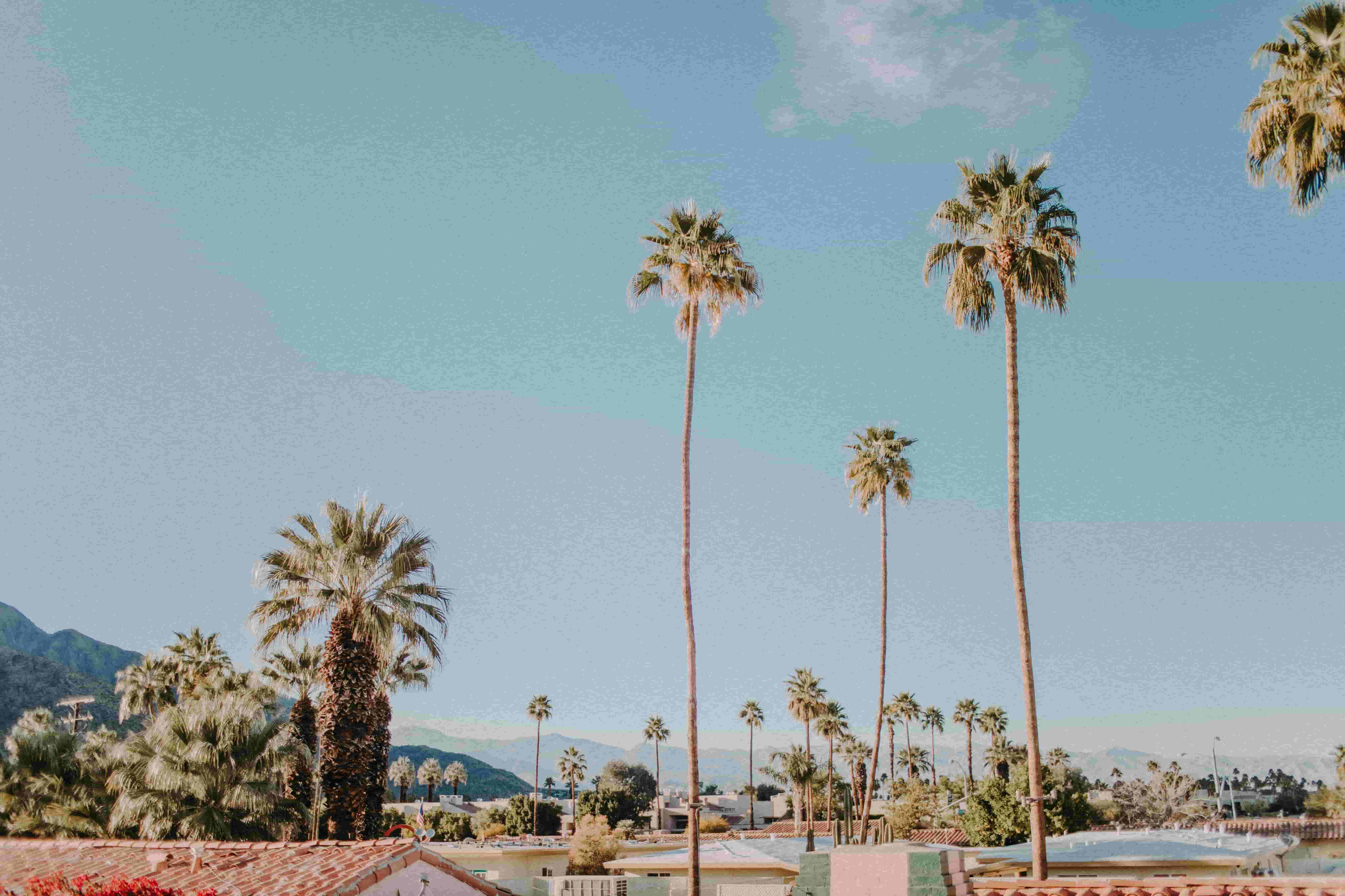 palm springs limo service